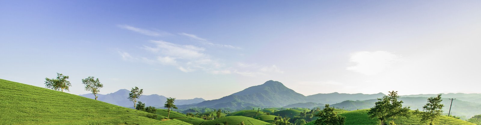 header hero 1.jpg